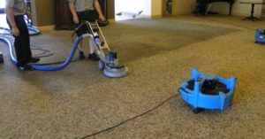 Commercial Carpet Cleaning North Shore