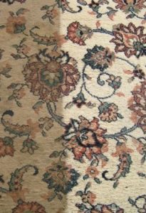 Rug Cleaning North Shore