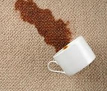 Stain Removal North Shore