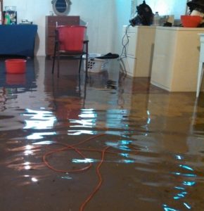 Water damage Restoration North Shore